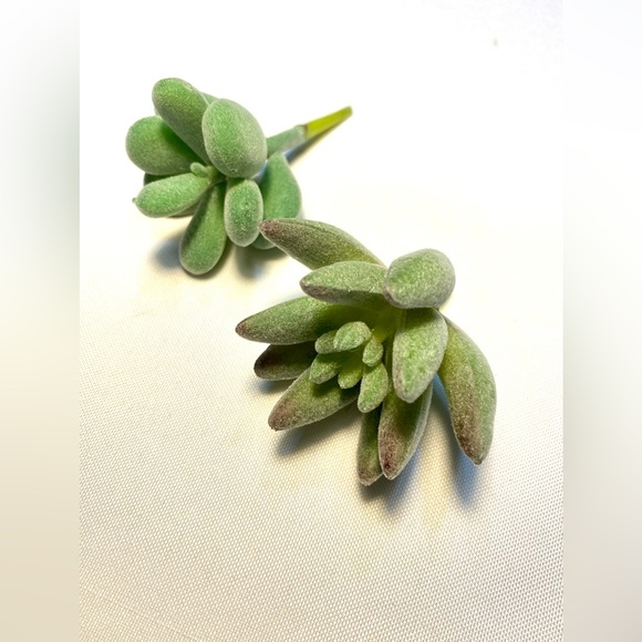 Artificial 20 Succulents Plants Fake Unpotted Decoration Realistic Faux - Picture 5 of 17